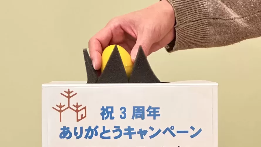 🎊 木のおもちゃBloom開店記念キャンペーン